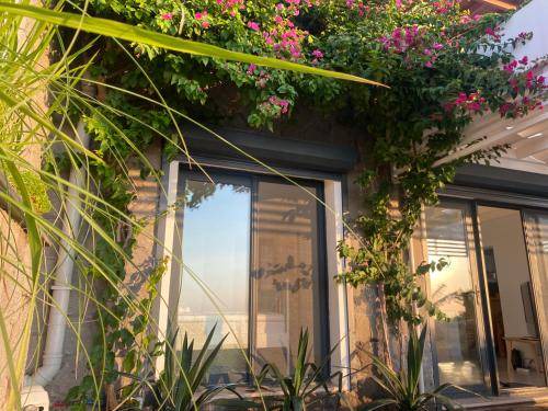 Photo of Patio Balcony in Gundogan