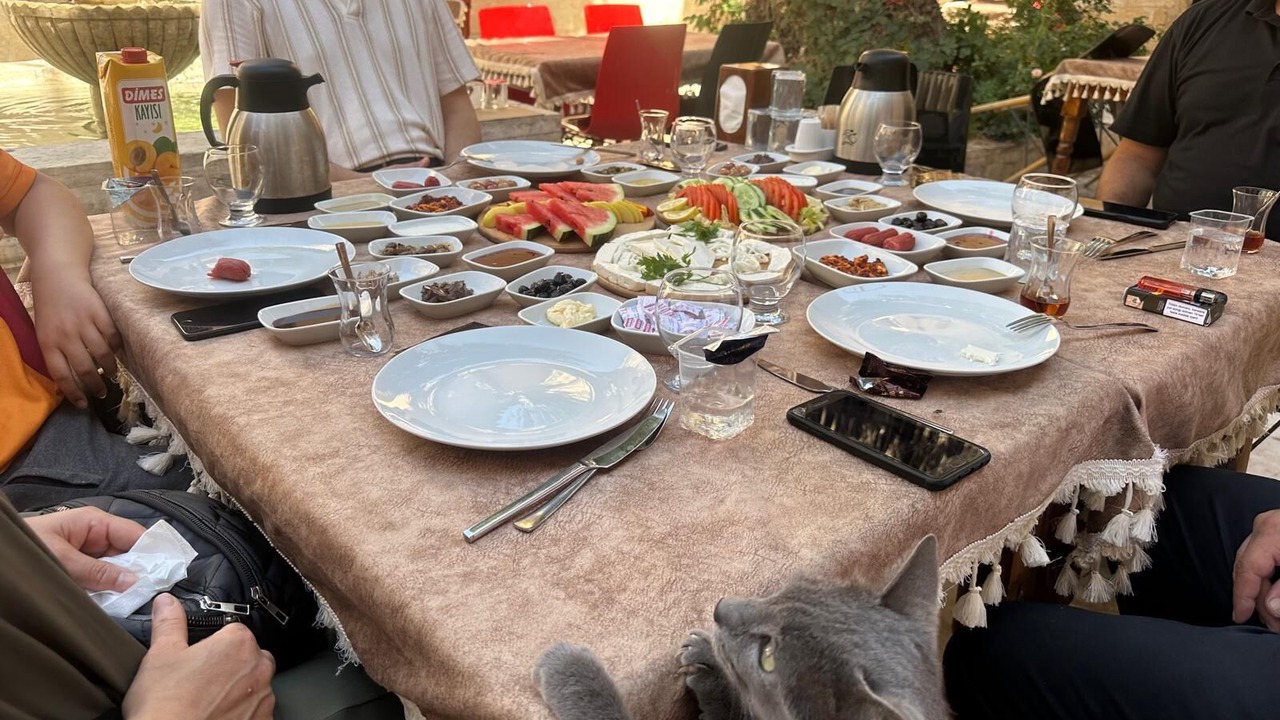 Photo of Others in Eyyubiye