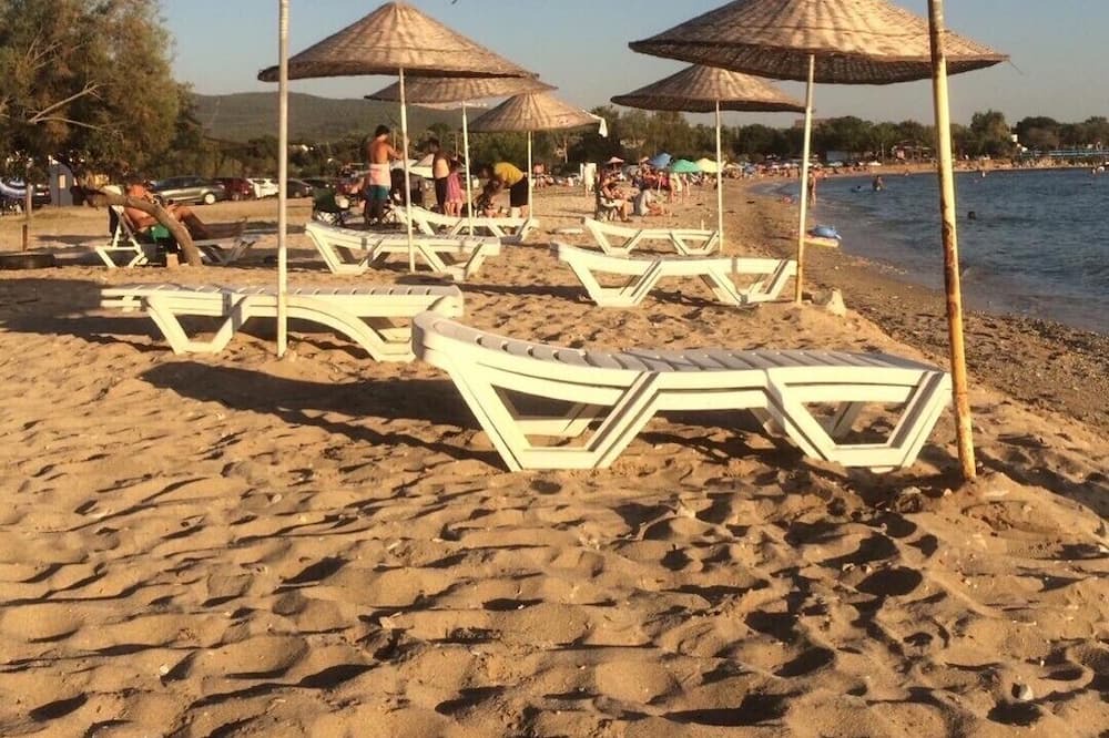 Photo of Others in Milas