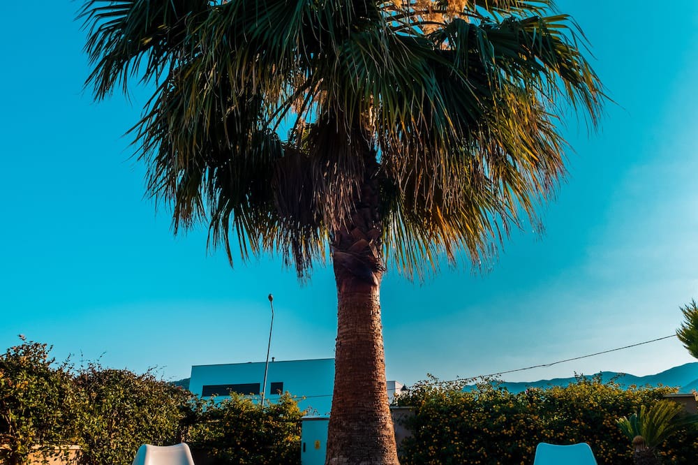 Photo of Outdoor in Tekirova