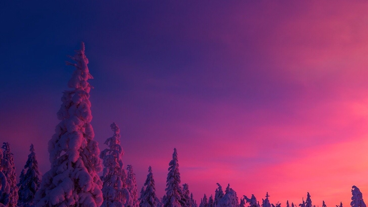 Photo of Outdoor in Sarikamis