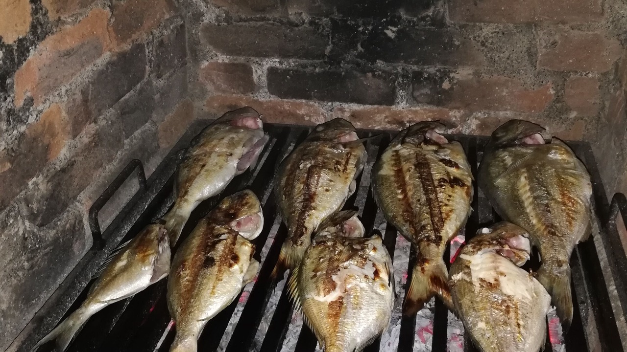 Photo of Others in Gocek