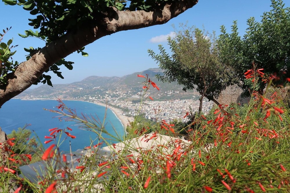 Photo of Others in Alanya