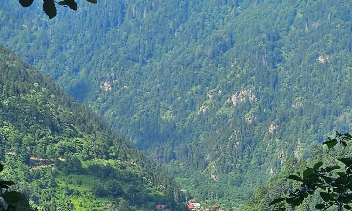 Photo of Outdoor in Camlihemsin