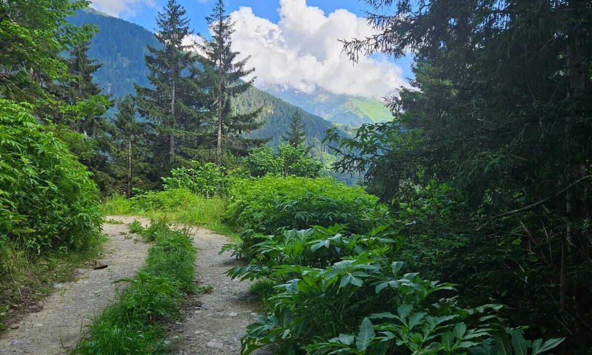 Photo of Outdoor in Camlihemsin