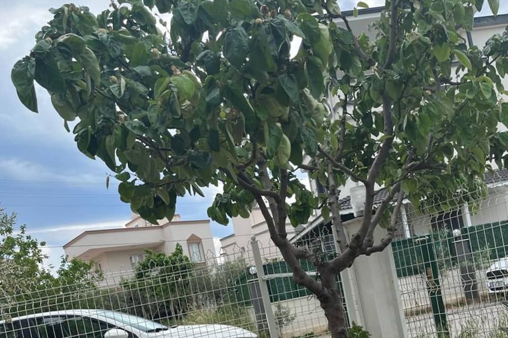 Photo of Outdoor in Cumhuriyet