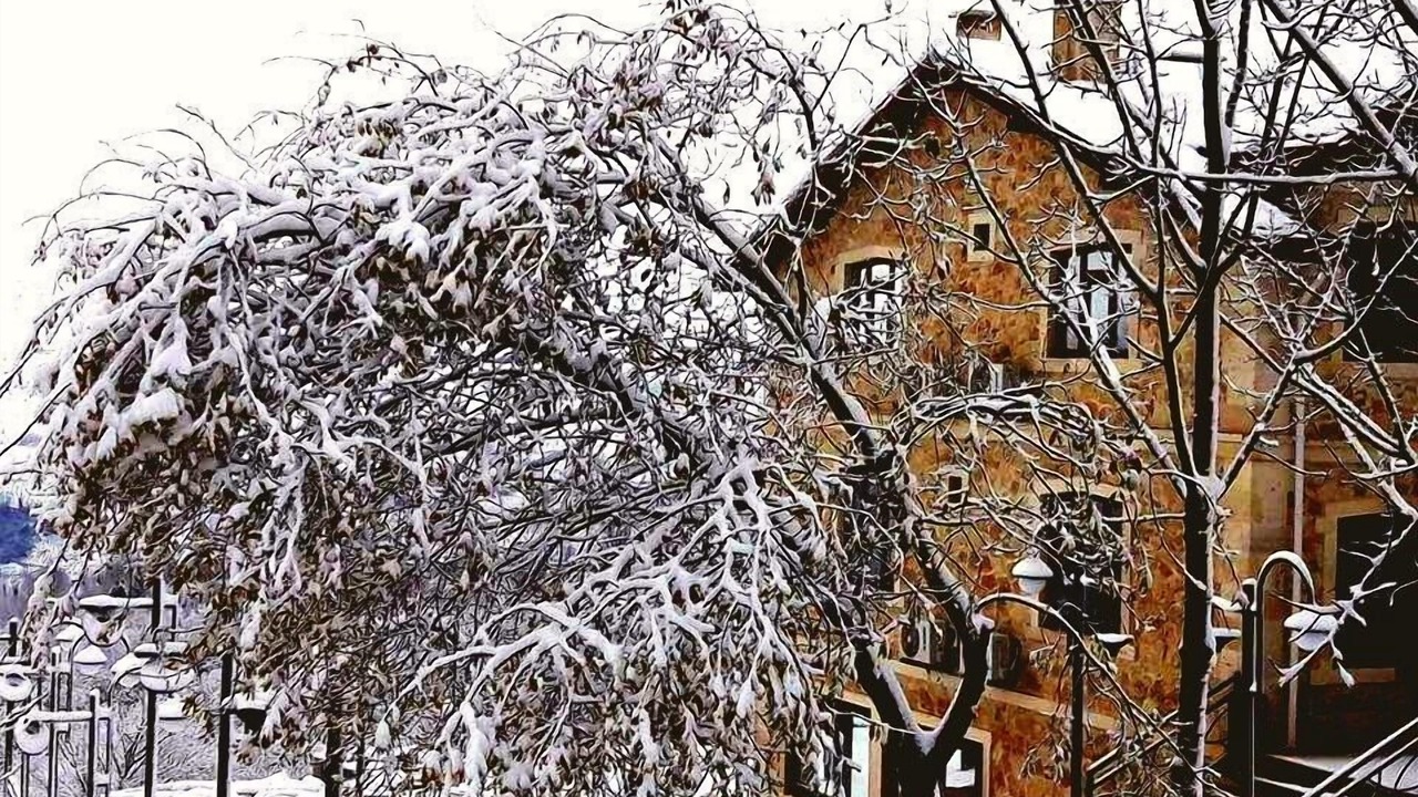 Photo of Outdoor in Fatsa