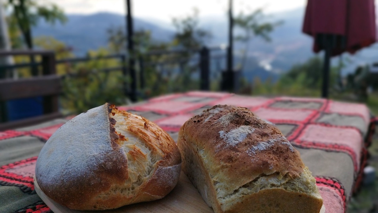 Photo of Outdoor in Fatsa