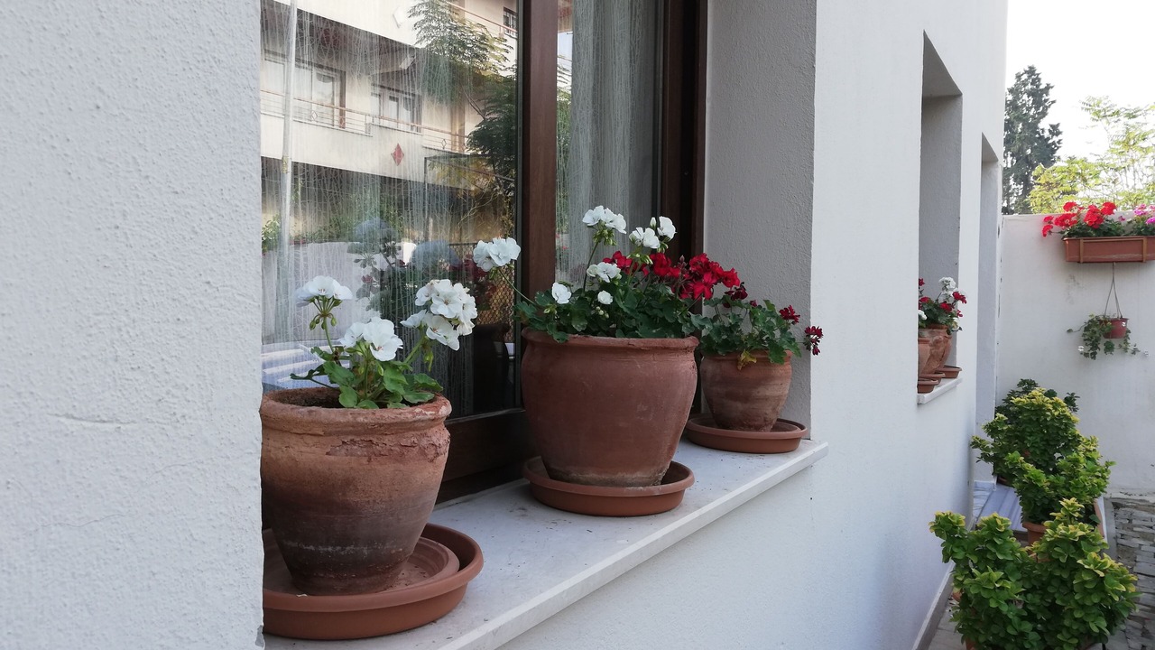 Photo of Outdoor in Selcuk