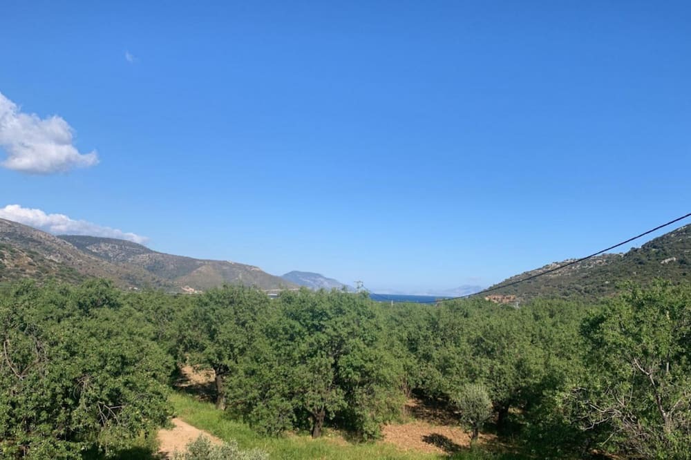 Photo of Outdoor in Datca