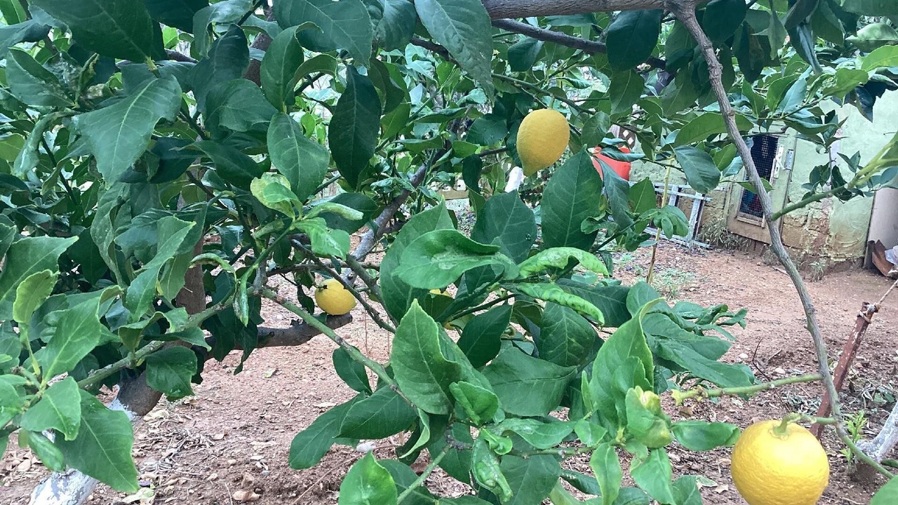 Photo of Outdoor in Bogazkent