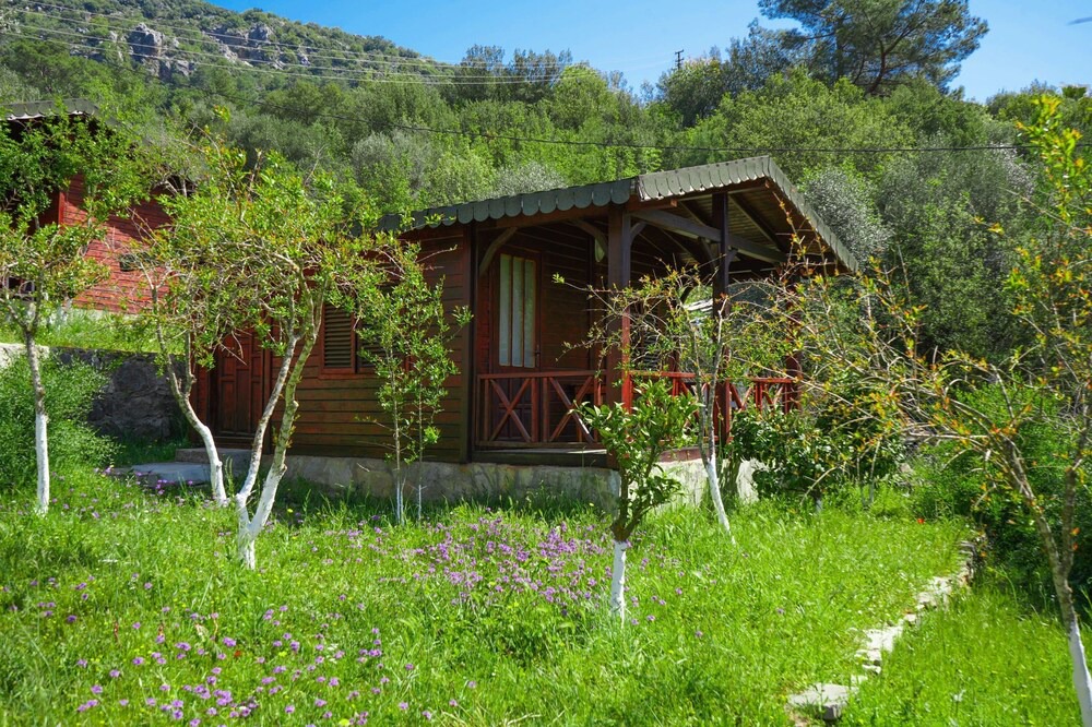 Photo of Outdoor in Olympos
