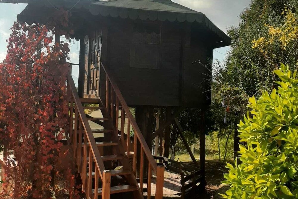 Photo of Bedroom in Olympos