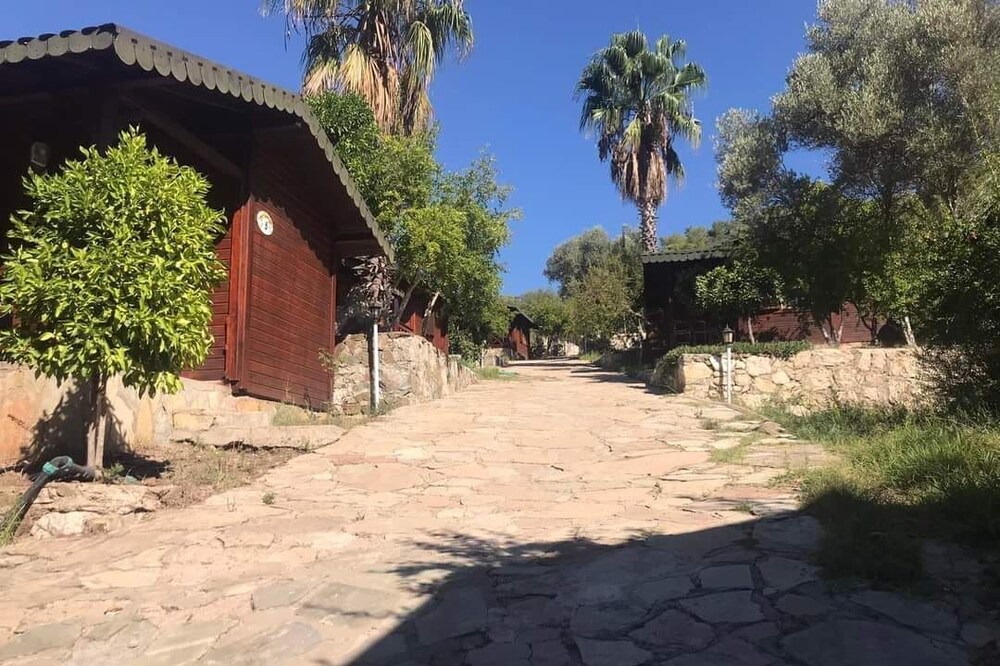 Photo of Outdoor in Olympos