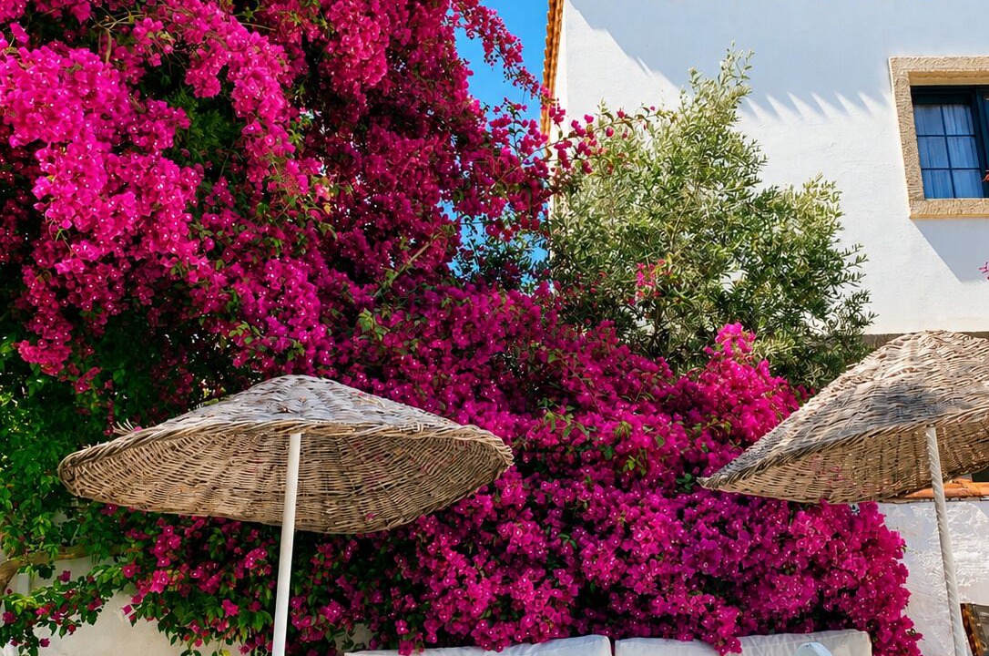 Photo of Outdoor in Hacımemis