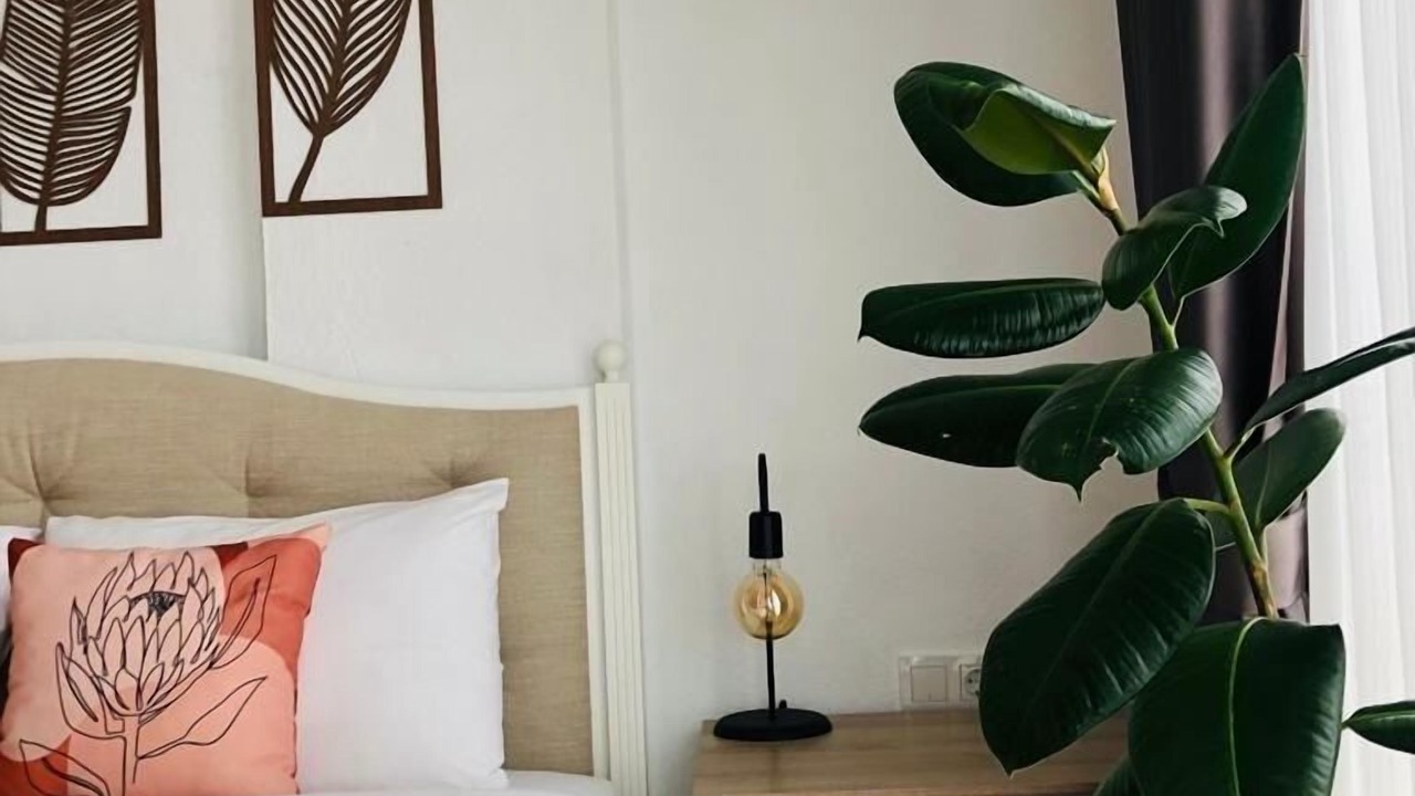 Photo of Bedroom in Sogut