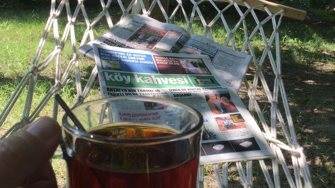 Photo of Outdoor in Milas