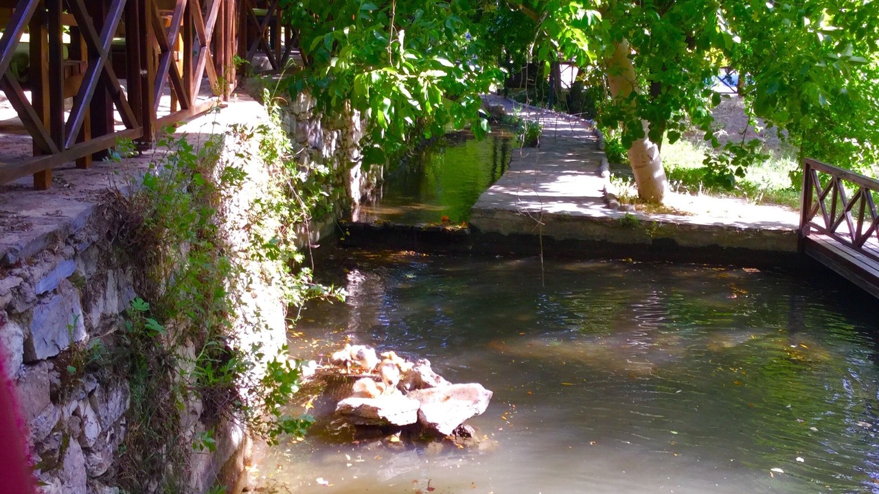 Photo of Outdoor in Milas