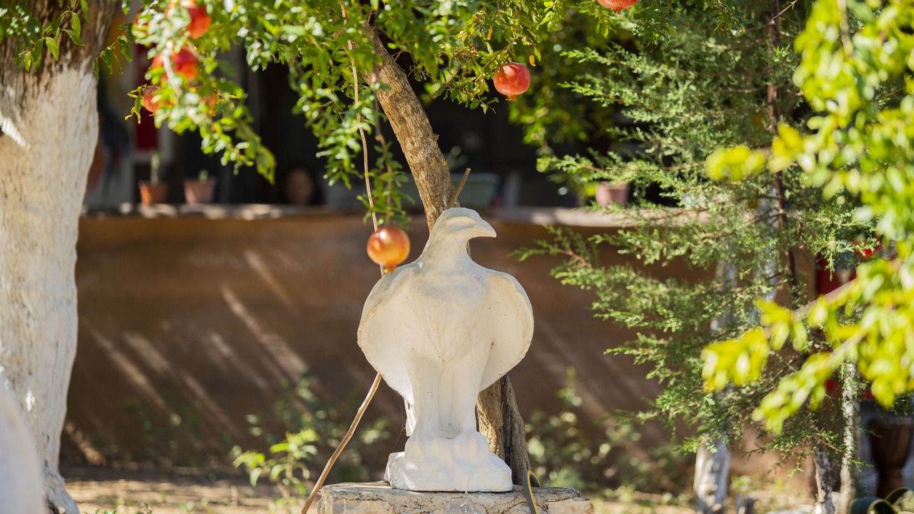 Photo of Outdoor in Olympos