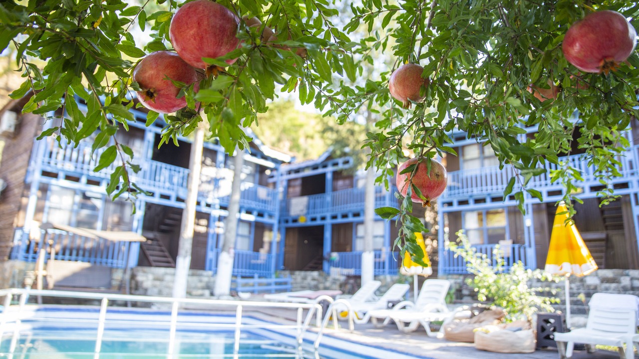 Photo of Outdoor in Olympos
