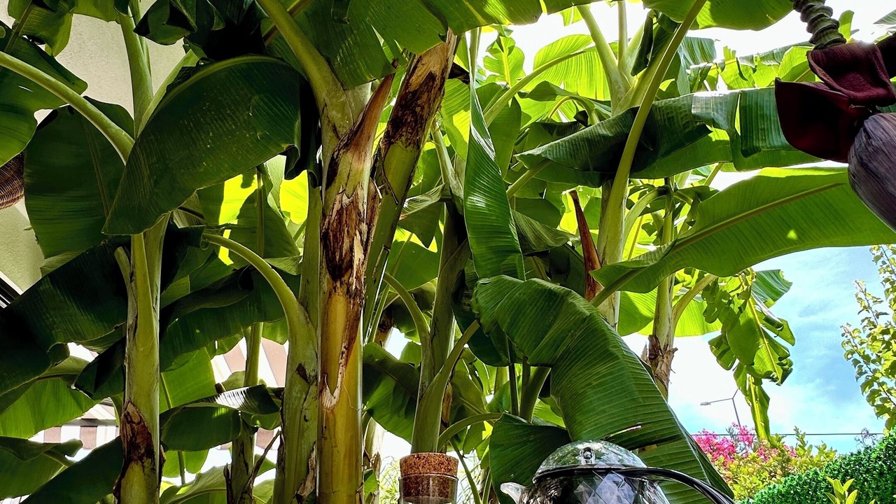Photo of Outdoor in Alacati