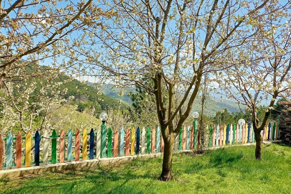 Photo of Others in Osmangazi