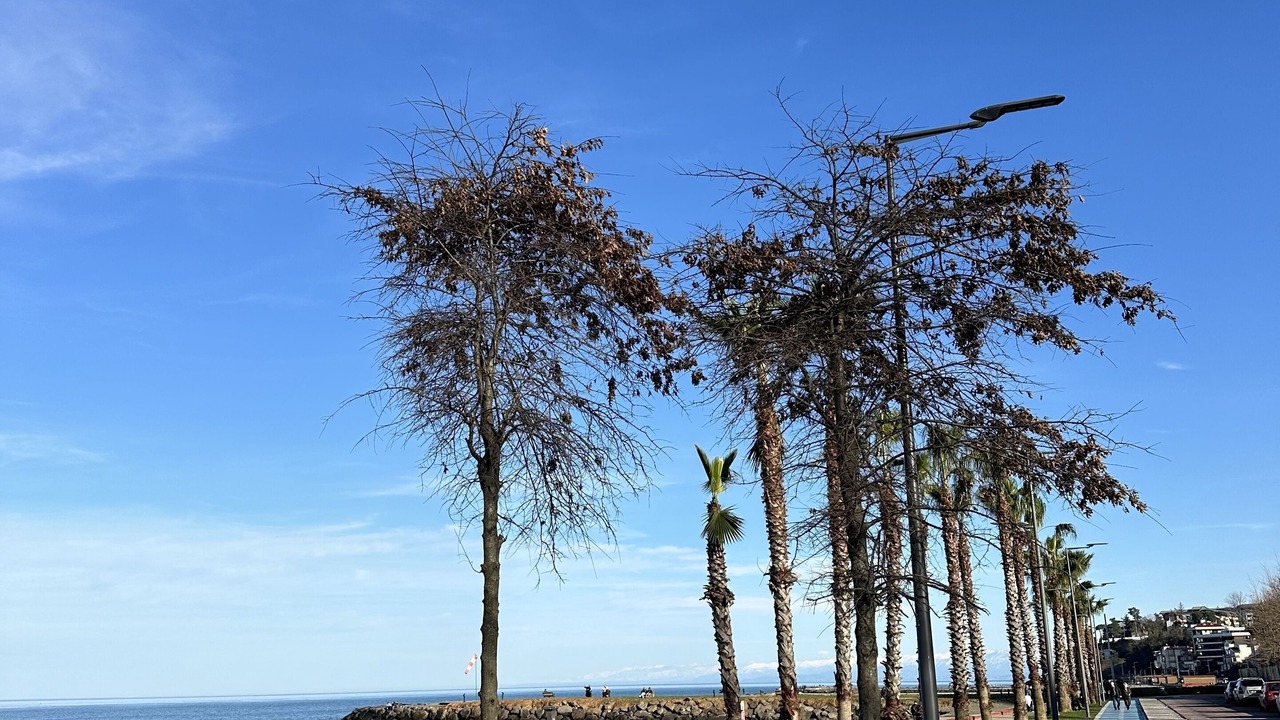 Photo of Outdoor in Trabzon