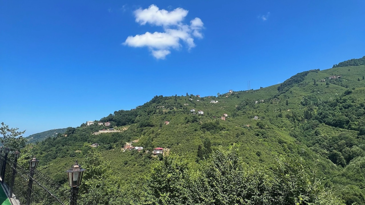 Photo of Outdoor in Yomra
