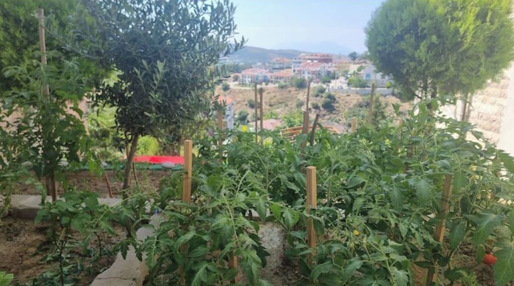 Photo of Outdoor in Gokceada