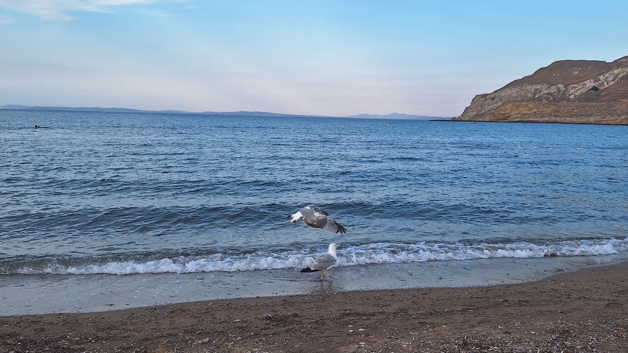 Photo of Outdoor in Gokceada