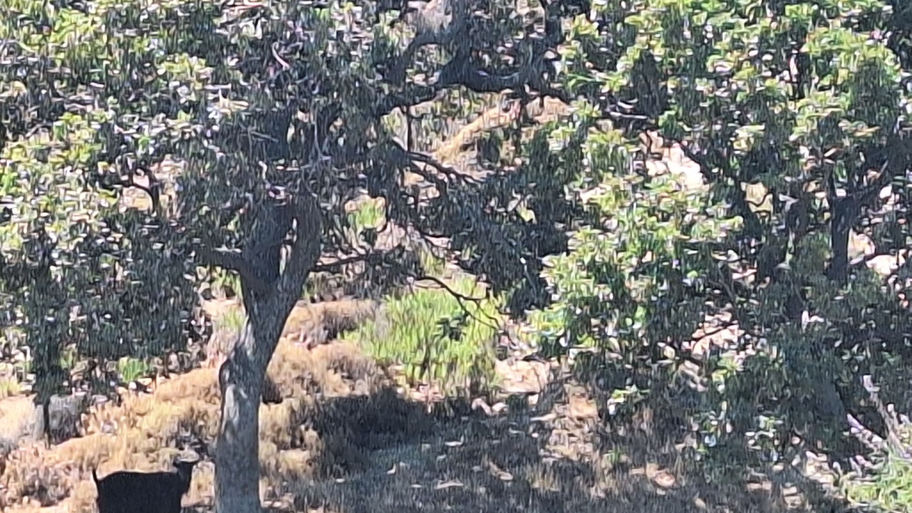 Photo of Outdoor in Gokceada