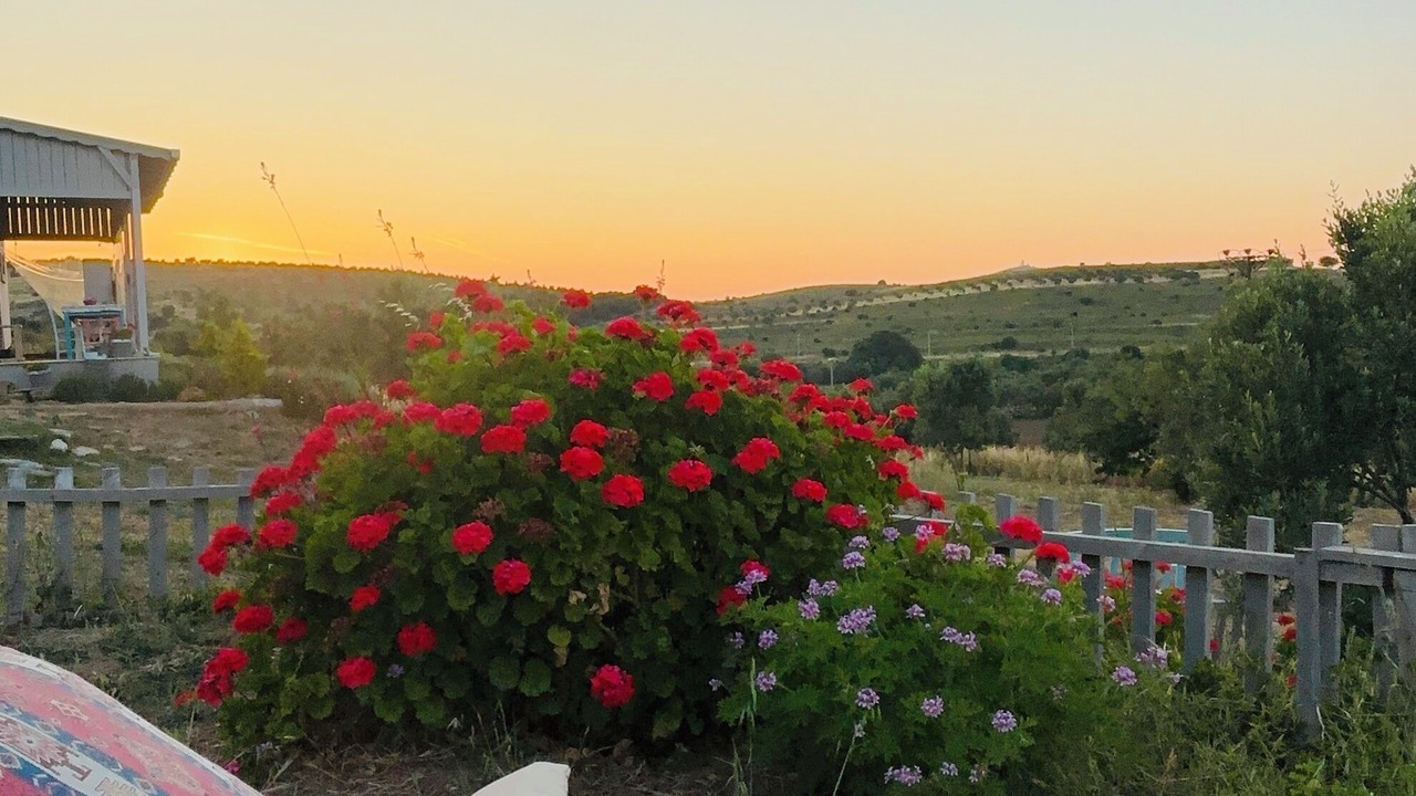 Photo of Outdoor in Bozcaada