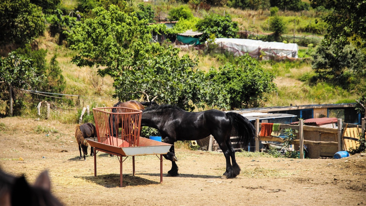 Photo of Others in Sariyer