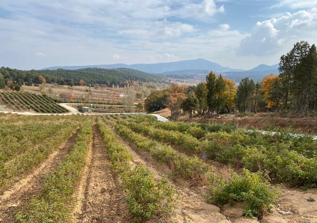 Photo of Outdoor in Keciborlu