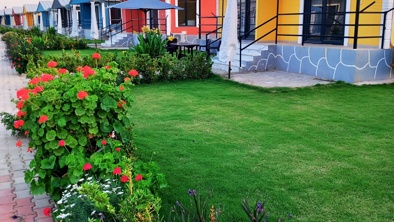 Photo of Outdoor in Cumhuriyet