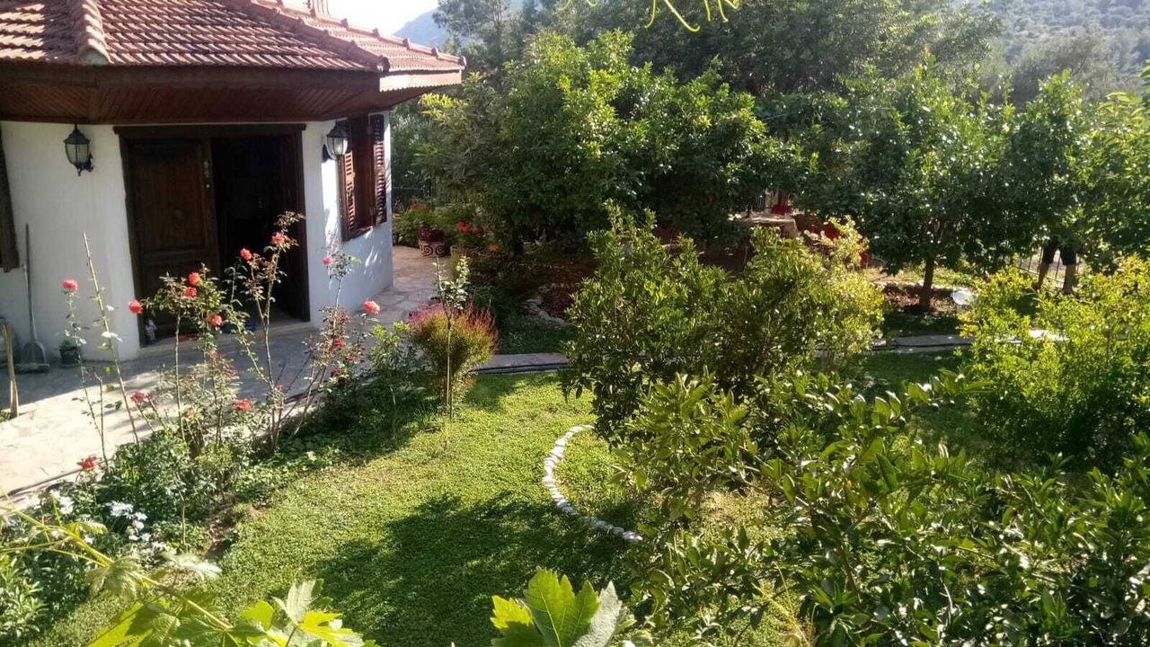 Photo of Outdoor in Mesudiye