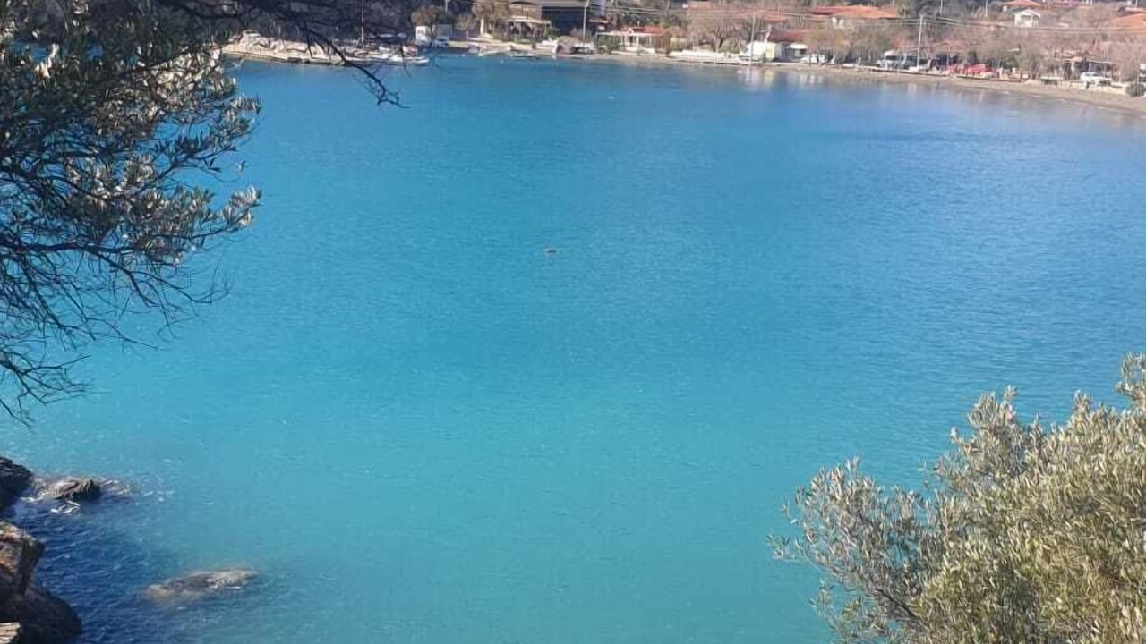 Photo of Others in Mesudiye