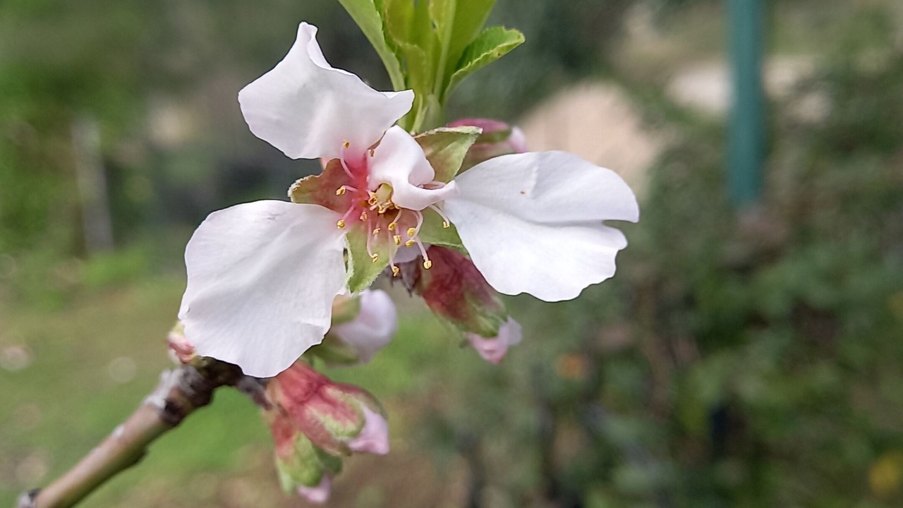 Photo of Outdoor in Mesudiye