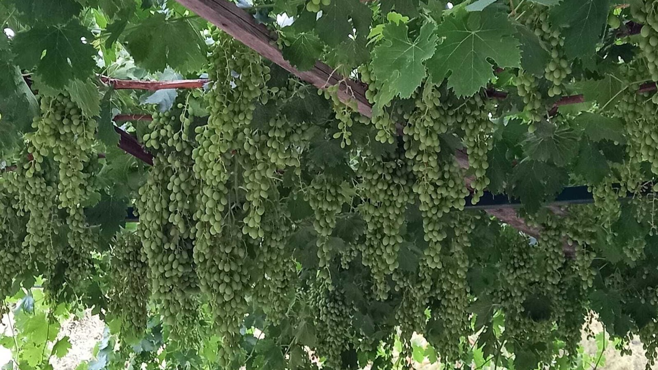 Photo of Outdoor in Mesudiye