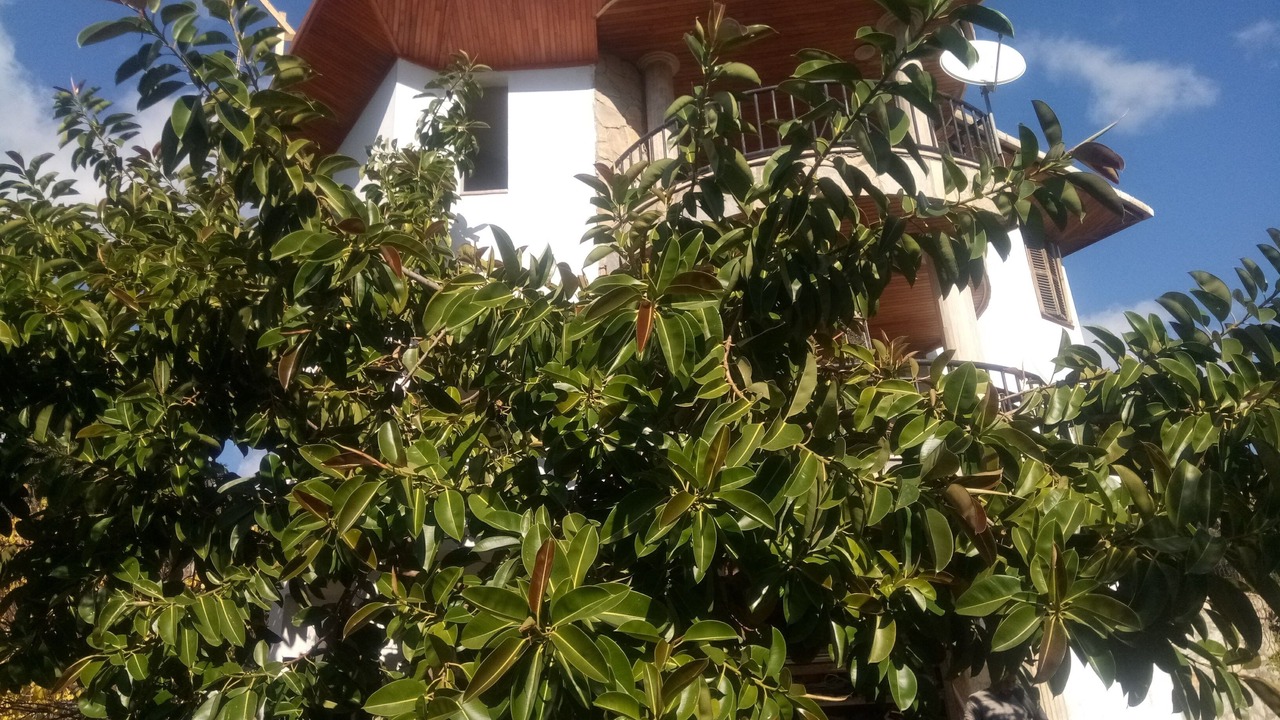 Photo of Outdoor in Mesudiye