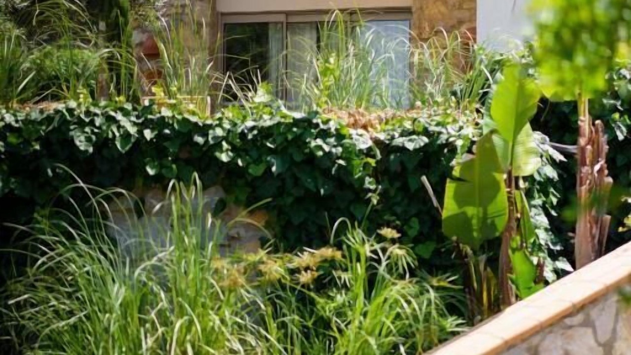 Photo of Outdoor in Dagbelen