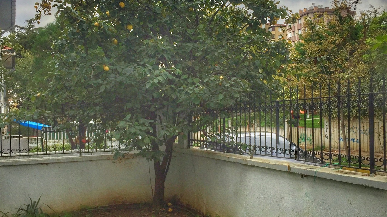 Photo of Outdoor in Icerenkoy Mahallesi