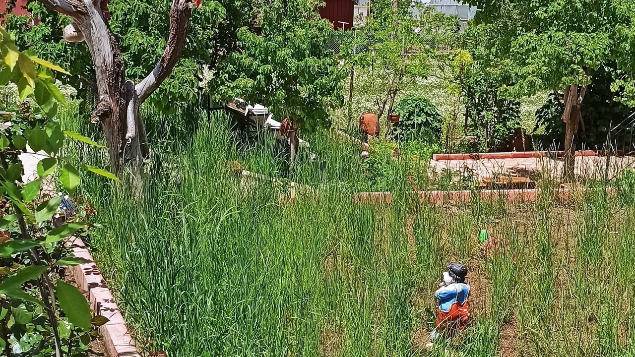 Photo of Outdoor in Salda