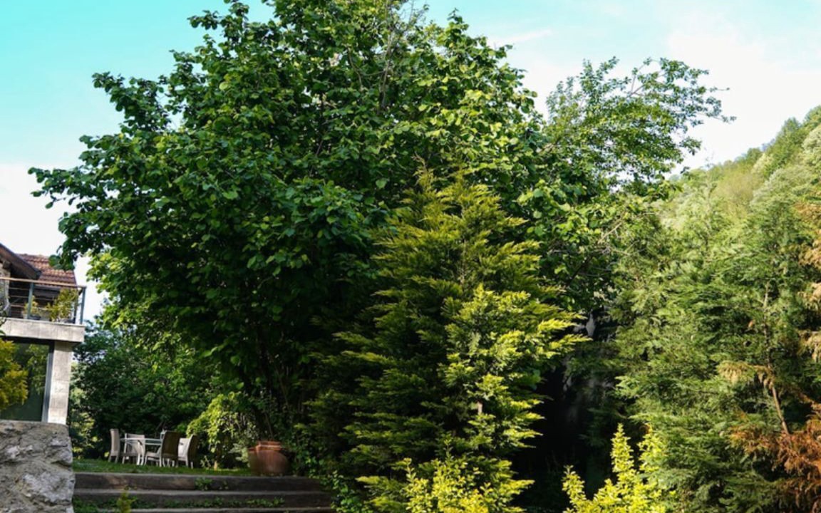 Photo of Outdoor in Sapanca