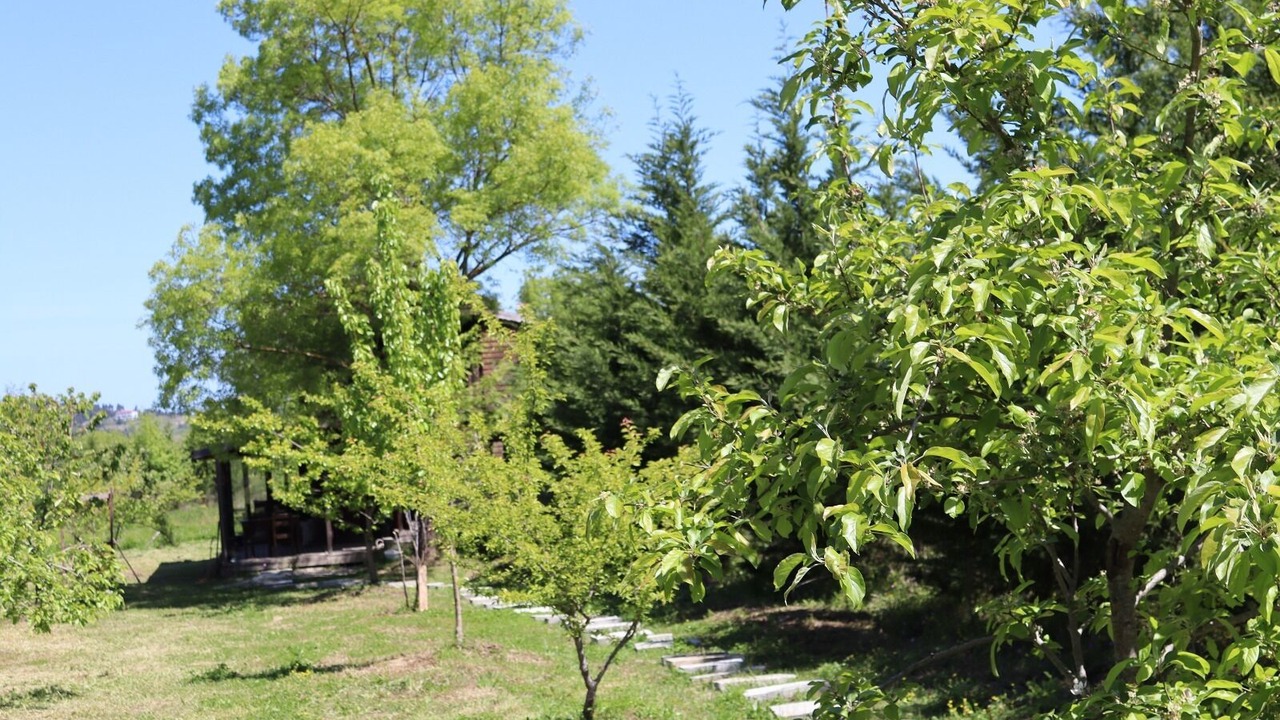 Photo of Outdoor in Sile