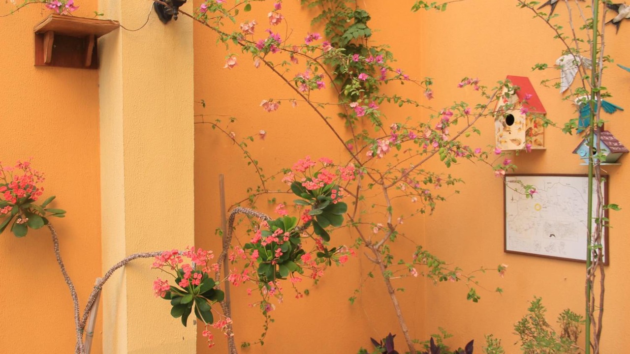 Photo of Outdoor in Konyaalti