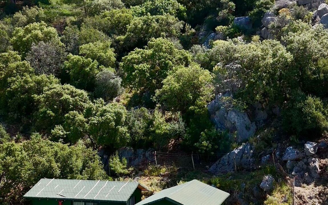 Photo of Bedroom in Oludeniz City Center