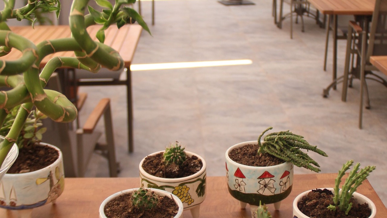 Photo of Outdoor in Bozcaada