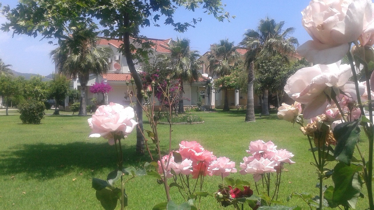 Photo of Outdoor in Camyuva