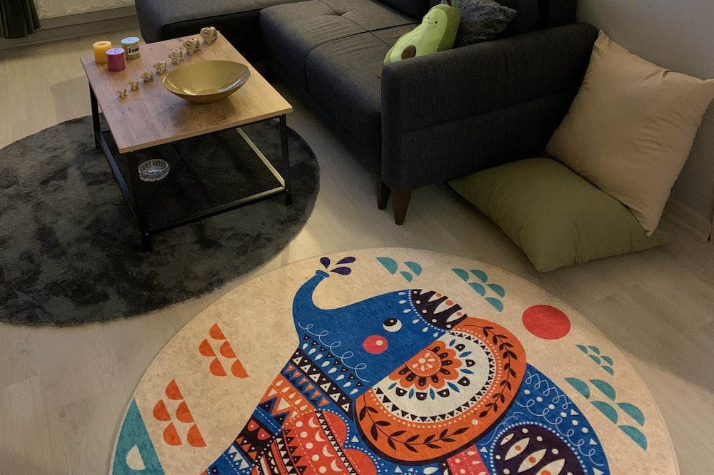 Photo of Livingroom in Kars